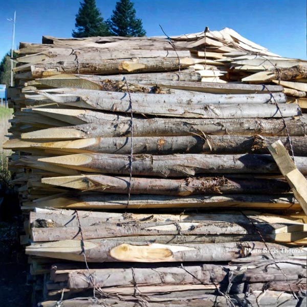 Piquets chataignier : piquets ronds non écorcés 8-9 cm en bois de chataignier