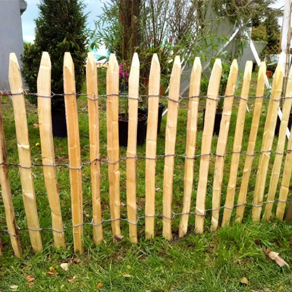 Ganivelle écartement 2cm 3cm